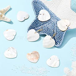 20 шт подвески из натуральных пресноводных ракушек&nbsp;SHEL-SC0001-96