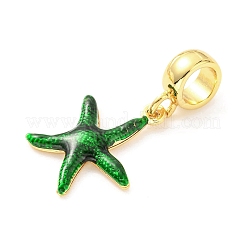 Латунные эмалированные европейские подвески с подвесками&nbsp;KK-M247-11G-06