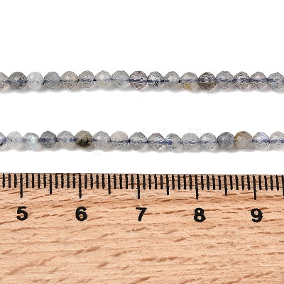 Природные лабрадорита бисер нитей&nbsp;LS-G-RM250104-E8-1