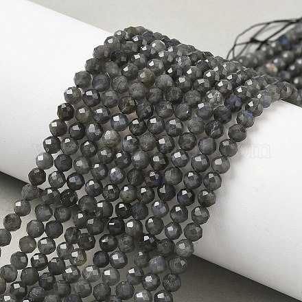 Природные лабрадорита бисер нитей&nbsp;LS-G-L622-C03-4mm-1