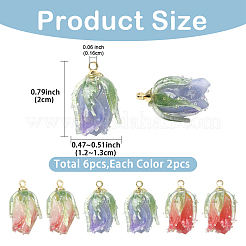 6шт 3 цвета прозрачные акриловые подвески&nbsp;SACR-YW0002-09