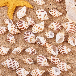 Спиральные подвески оболочки&nbsp;SSHEL-PH0001-03