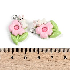 Подвески из смолы&nbsp;LS-RESI-I061-04C