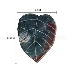 Натуральный мох украшения дисплей агата&nbsp;G-PW0004-30