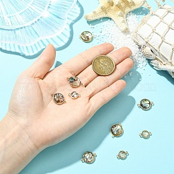 9 шт. 3 стиля подвески-соединители из натуральной ракушки пауа&nbsp;KK-YW0003-61