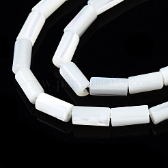 Нити бусин из натуральных трохоидных/трохус ракушек&nbsp;X-SSHEL-S266-020A-02