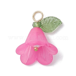 Акриловые подвески&nbsp;PALLOY-TA00145