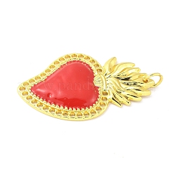 Подвески из эмали и сплава&nbsp;FIND-Z074-02G-02