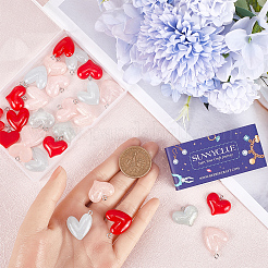 36 шт. подвески из прозрачной и непрозрачной смолы 6 стилей&nbsp;RESI-SC0002-97