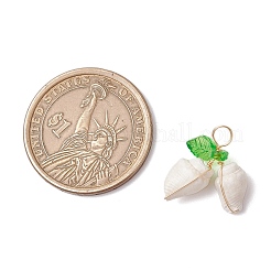 Подвески из натуральной морской ракушки&nbsp;PALLOY-JF03611-02