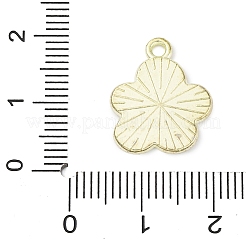 Подвески из эмали и сплава&nbsp;ENAM-F152-03G-05