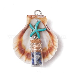 7 шт. 7 стиля подвески в виде морской звезды из натуральной ракушки гребешка и окрашенной синтетической бирюзы&nbsp;PALLOY-JF03564-01