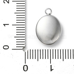 Подвески из акрила из нержавеющей стали 304&nbsp;LS-STAS-M091-02E-P