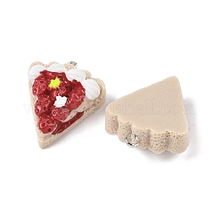 Подвески из непрозрачной смолы&nbsp;FIND-Z092-01P-01