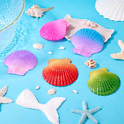 5 шт. подвески из натуральной ракушки морского гребешка&nbsp;SSHEL-TA0001-24