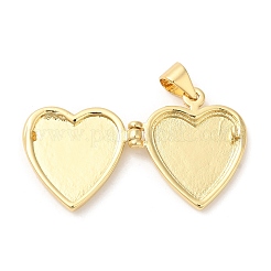 Подвески-медальоны из натуральных ракушек&nbsp;X-KK-K332-15G-05