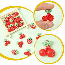 20шт 2 стиля непрозрачные подвески из смолы&nbsp;RESI-SC0036-65