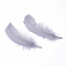 Goose Feather Costume Accessories, Light Grey, 140~175x40~50x3mm