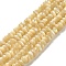 Natural Trochus Shell Beads Strands, Rondelle, Wheat, 4~4.5x2mm, Hole: 0.8mm, about 171pcs/strand, 15.04''(38.2cm)