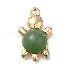 Подвески из акрилового сплава&nbsp;FIND-M041-03G