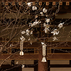 2 шт. 2 стиля латунные монеты пять императоров подвеска-подвеска украшения&nbsp;AJEW-GA0008-61