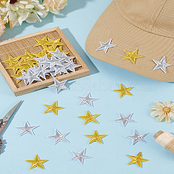 50 шт. 2 цвета компьютеризированная вышивка ткань утюгом / пришить патчи&nbsp;DIY-LP0001-03