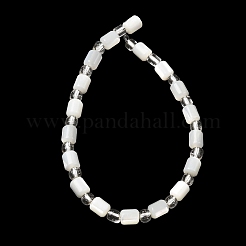 Нити бусин из натуральных трохоидных/трохус ракушек&nbsp;BSHE-A002-02A