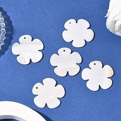 Подвески из раковины&nbsp;X-PBB180Y