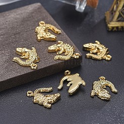 Подвески из сплава &nbsp;LS-X-TIBEP-A040-015G-NR