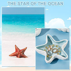 Фарфоровый поднос для украшений&nbsp;DJEW-WH0009-27