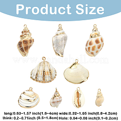 18 шт. 9 стиля подвески из натуральных ракушек с гальваническим покрытием&nbsp;BSHE-YW0001-08