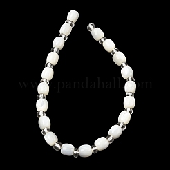 Нити бусин из натуральных трохоидных/трохус ракушек&nbsp;BSHE-A002-01A