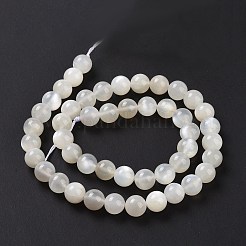 Натуральный белый лунный камень бисер пряди&nbsp;G-F306-05AB-8mm