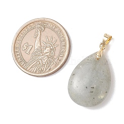 Природные подвески лабрадорита&nbsp;PALLOY-JF04953