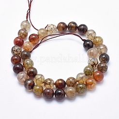Природных вены драконов агат бисер нитей&nbsp;G-K256-62-10mm