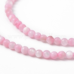 125шт натуральные пресноводные бусины из ракушек&nbsp;LS-SHEL-B002-01B