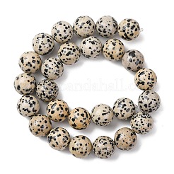 Природные яшмы далматин бисер нитей&nbsp;G-A310-A05-14mm