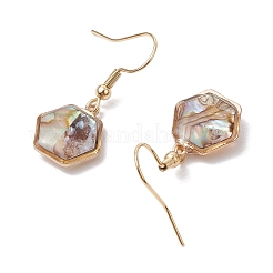 Естественно Paua оболочки болтающийся серьги&nbsp;EJEW-JE06274