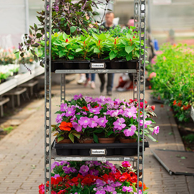 Рамка метки железа&nbsp;IFIN-WH0065-48D-AB-1