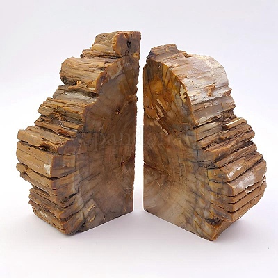 Подставки для книг из натурального окаменелого дерева&nbsp;AJEW-H157-01-1