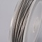 304 Stainless Steel Wire, Light Grey, 1mm, about 10m/roll