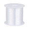 Nylon Wire, Fishing Line, Clear, 0.25mm, about 109.36 yards(100m)/roll