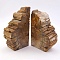 Natural Petrified Wood Bookends, Raw Fossilized Stone Book Holders for Rustic Home Decor, 50x120~140mm