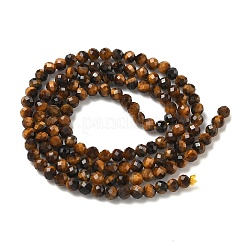 Природных тигровый глаз бисер нитей&nbsp;G-A129-3mm-C02