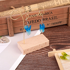 Наборы для изготовления сережек с подвесками своими руками&nbsp;DIY-CW0001-11