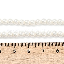 Круглые раковины жемчуг нити&nbsp;BSHE-XCP0001-40A