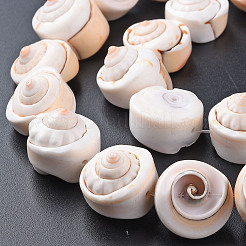 Натуральные спиральные оболочки&nbsp;LS-SSHEL-N034-106