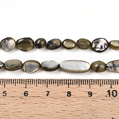 Нити бусин из натуральной белой ракушки&nbsp;SHEL-N036-21