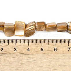 Окрашенные нити бусин из натуральных пресноводных ракушек&nbsp;SHEL-P016-01A