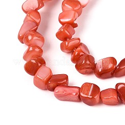 Нити бусин из натуральных пресноводных ракушек&nbsp;SHEL-N037-04D